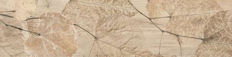 Foliage Beige (800x200)