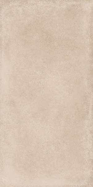 Beige 60x120 Rett_(Тон R064d)_D303465 (600x1200)