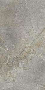 Silver 60x120 (600x1200)