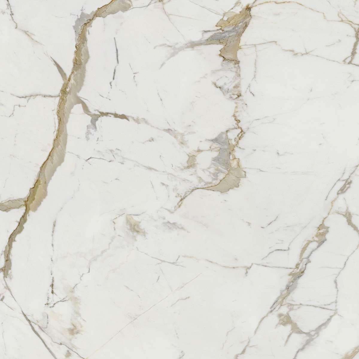 Calacatta Oro 120x120 (1200x1200)