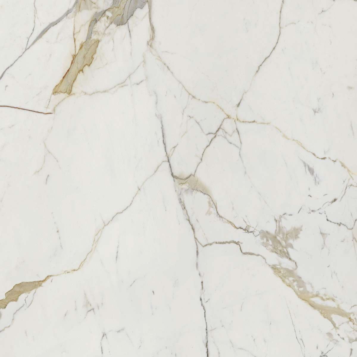 Calacatta Oro 120x120 (1200x1200)