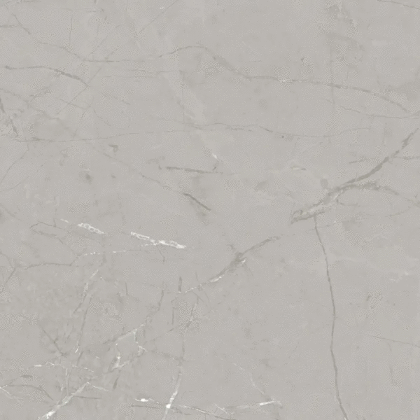 Керамогранит Dako (Керамогранит Дагестан) E-1010/MR серый 600x600x9 (600x600)