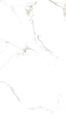 Дали Керамико Calacatta Grace Glossy 60x120