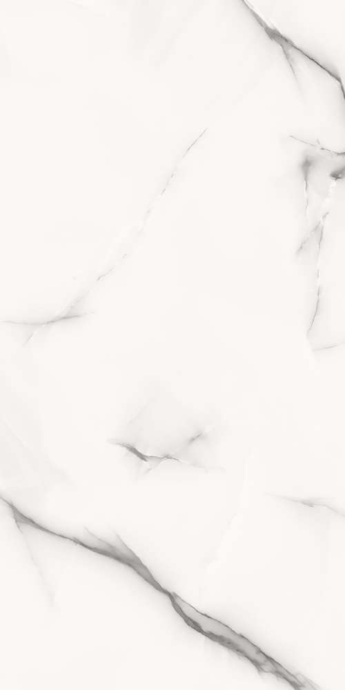 Gris Glossy 60x120 (600x1200)