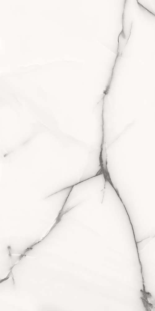 Gris Glossy 60x120 (600x1200)