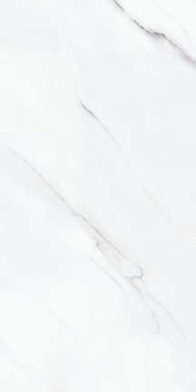 Дали Керамико Stattuario Grand Glossy 60x120