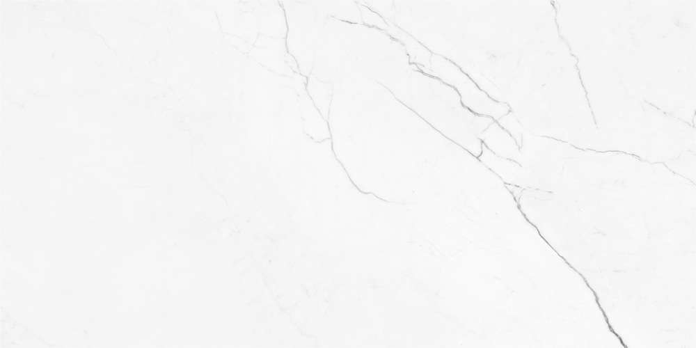 White Matt 60x120 (1200x600)