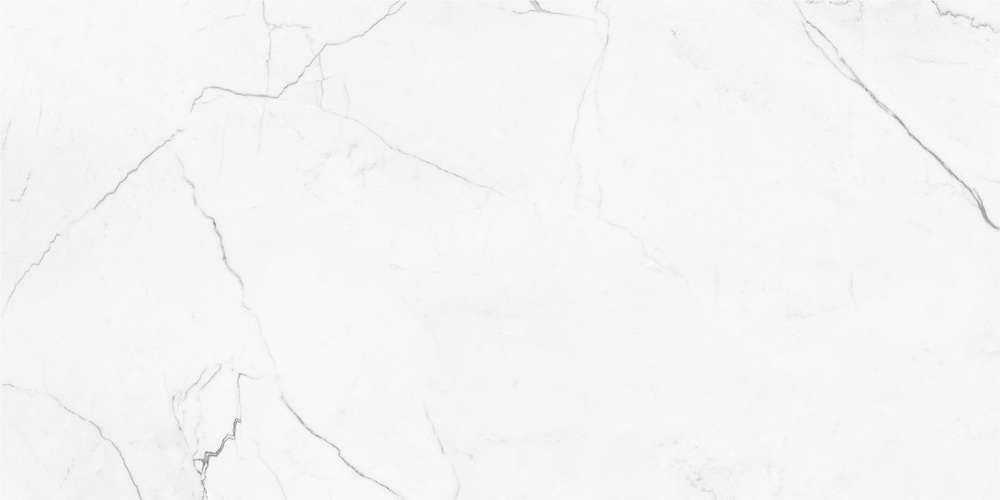 White Matt 60x120 (1200x600)