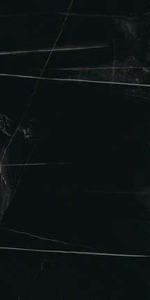 Эдилгрес Italian Marble Im Sahara Noir Polished 60х120