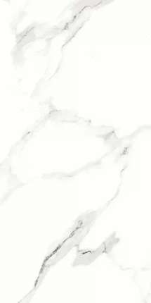 Эмбито Гранито Statuario Silk Glossy 60х120