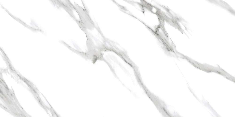 Arabescato White Glossy (1200x600)