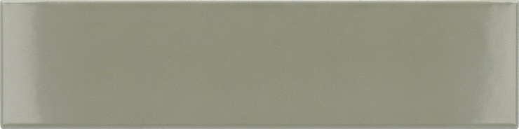 Эквип Costa Nova Tansy Green Glossy