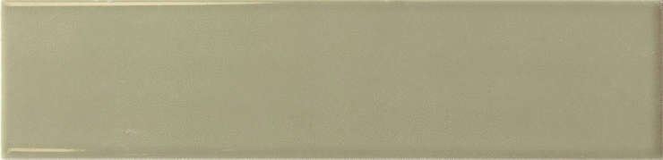 Эквип Lumina Lichen Gloss 6х24.6