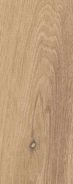 Rovere Dorato Naturale Rett 24x278 (240x2780)