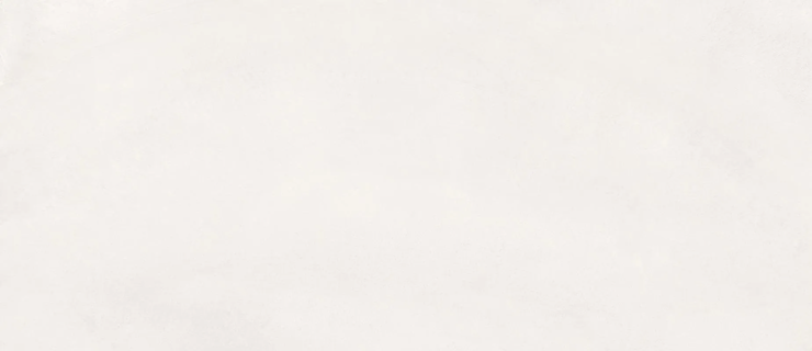 Эргон Pigmento Perla Nat R9 Rett 120x278