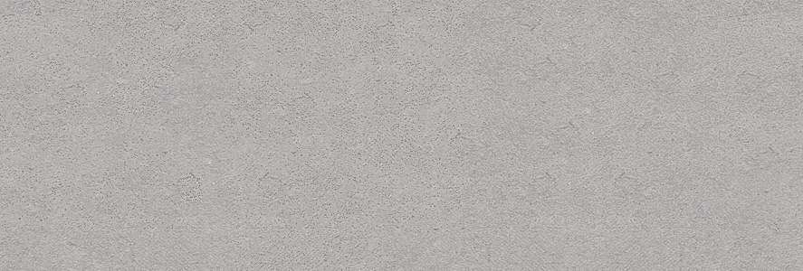 Base Light Gray (900x300)