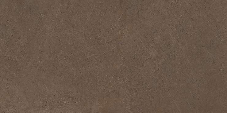 Эстима Gobi GO03 Brown Grey 120x60 Неполированный Рект.