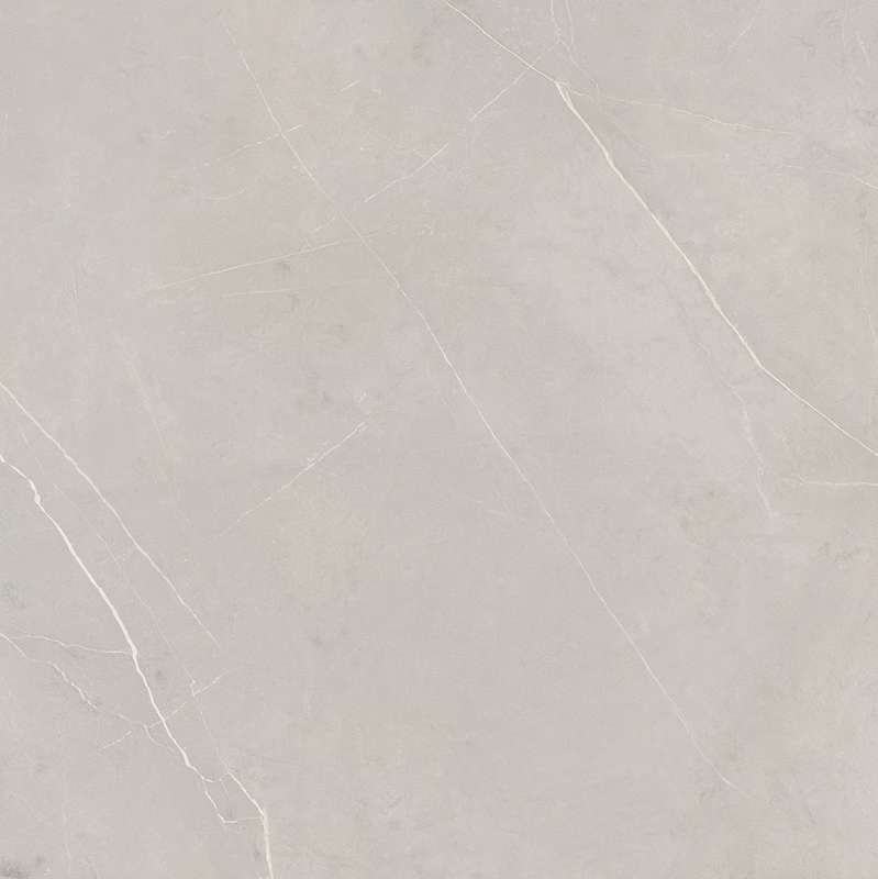 NL02 Light Grey 80x80 Неполированный Рект. (800x800)