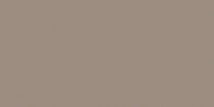 RW041 Dark Beige 120х60 неполированный рект. 10мм (1200x600)