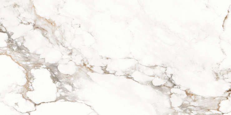 Eternal Antique Carrara Glossy 60x120
