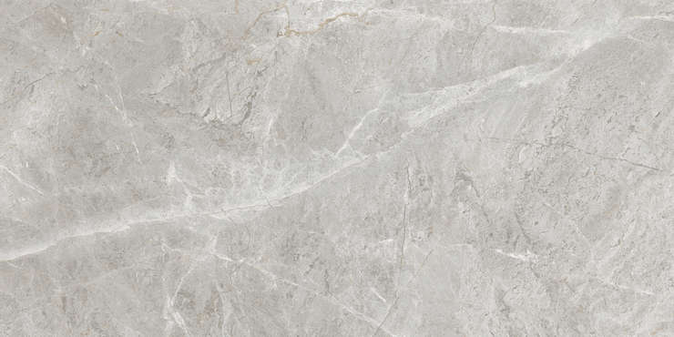 Eternal Baltic Grey Glossy 60x120