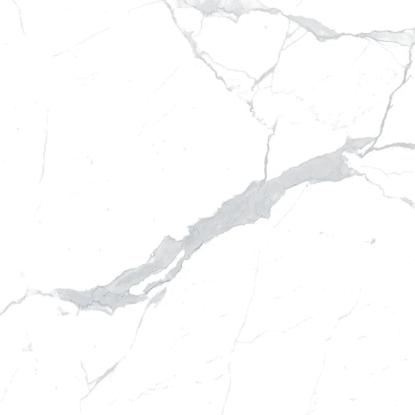 Керамогранит Eurotile Statuario Fond Satin 60x60 (600x600)