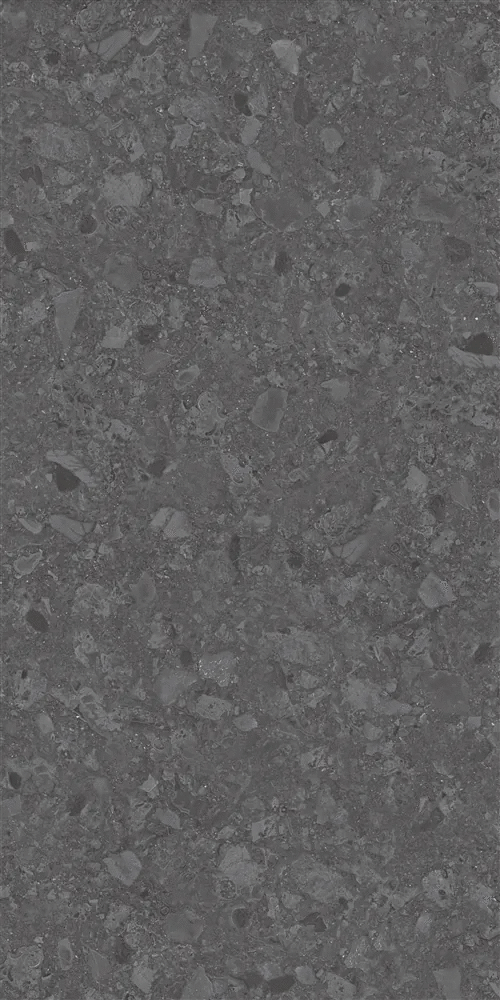 469 Dark Grey 60x120 (600x1200)