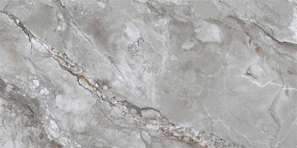 Grey Glossy 60x120 (1200x600)