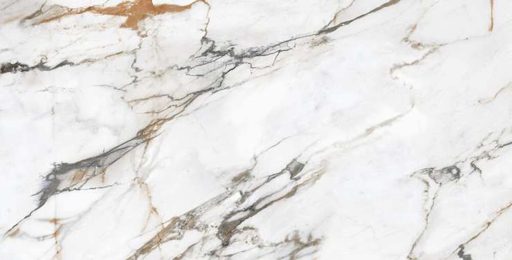 Эволюшн Керамик Borghini Brown Glossy 60x120