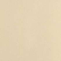 Керамогранит Евро-Керамика Бежевый полированный (600x600)