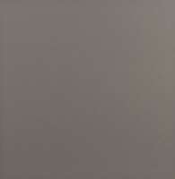 Плитка настенная Евро-Керамика Серый (200x200)