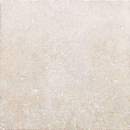 Экзагрес Vega Vision Pav. Vison шт.