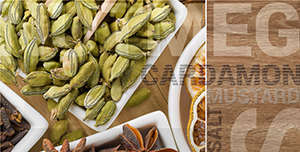 Фейс Spice Spice 4 TD422-D4