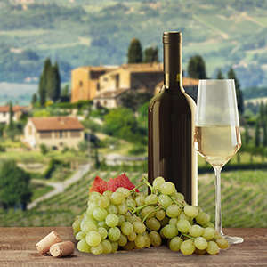 Фейс Wine map Wine map 2 TD425-P2-2