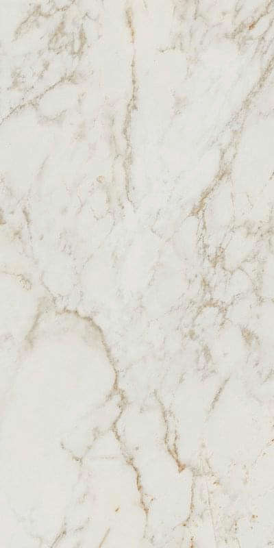 Calacatta Delicato Brillante 160x80 (800x1600)