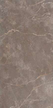 Фап Керамиче Roma Stone 80x160 Pietra Brown Matt