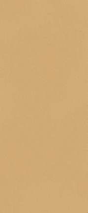 Фап Керамиче True Color Caramel 50x120 Matt RT