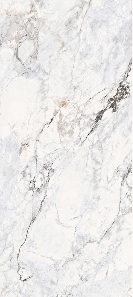 Calacatta Glosst 120x270 (1200x2700)