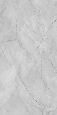Fish Maw Grey Glossy 90x180 (900x1800)