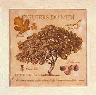 Фактория Панно Herbarium 1 из 1 плитки