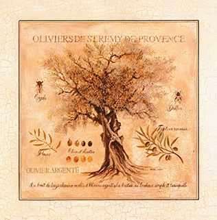 Фактория Панно Herbarium 3 из 1 плитки