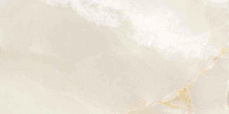 Фанал Onix Beige 60х120 NPlus