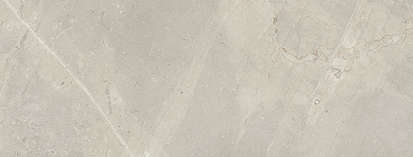 Pav. Gris Nplus (1180x450)