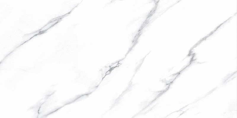 Carrara Lap (1200x600)