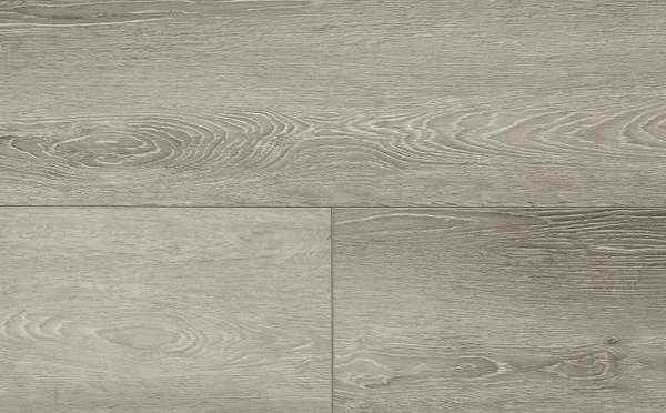 FirmFit Calisto EW-2963 Calisto