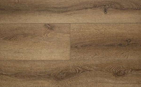 FirmFit Calisto CW-1997 Calisto