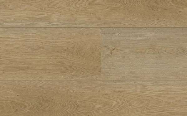 FirmFit Discovery EW-2786 Discovery