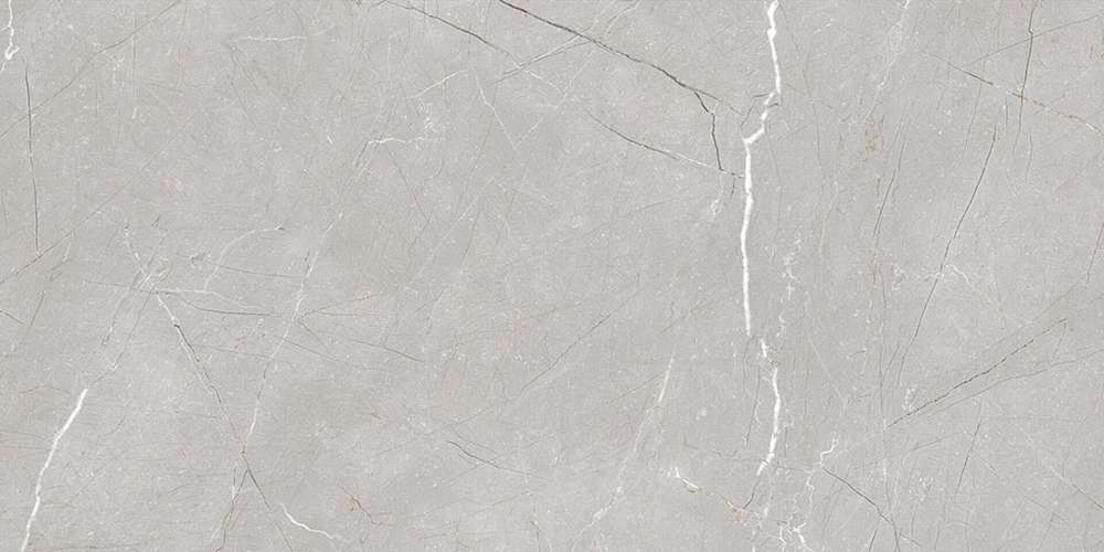 Grey 120x60 (1200x600)