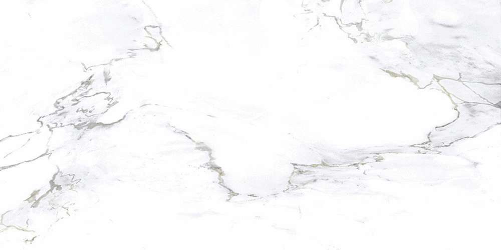 White 160x80 (1600x800)