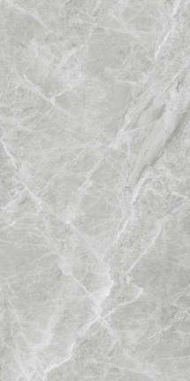 Фошань Випо Marbles Full Body Серый SH126G008 Rect. 60x120
